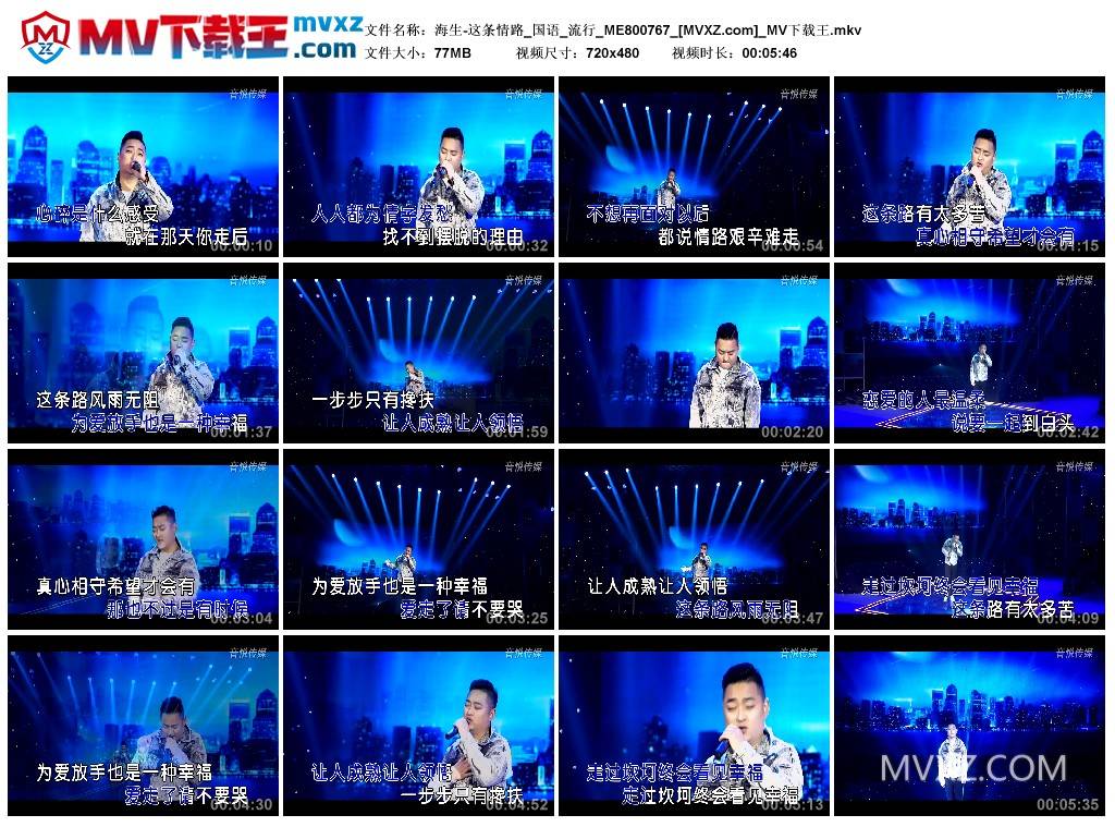 海生-这条情路_国语_流行_ME800767